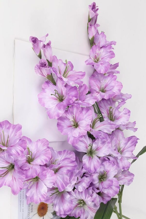 Twilight Gladiolas123 Twilight Gladiolas