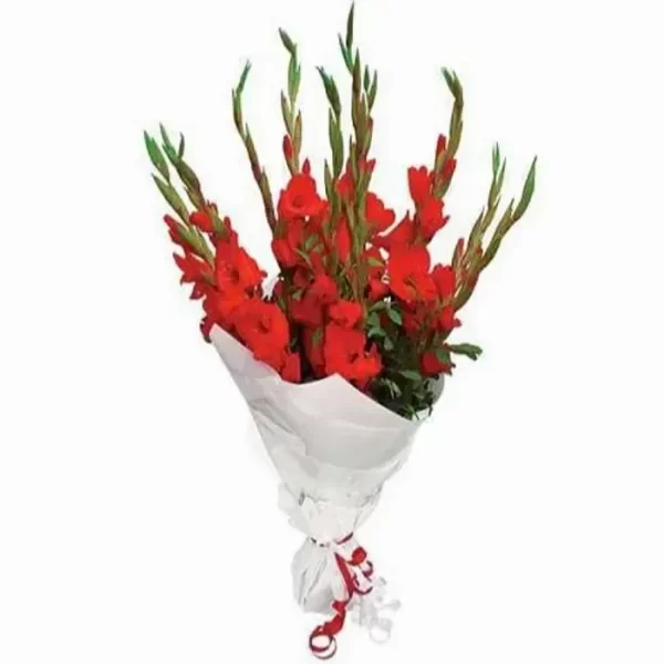 red_gladiolus_bouquet_626699dae8258.jpg Fresh Red Gladiolas